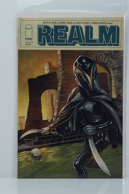 The Realm #12
