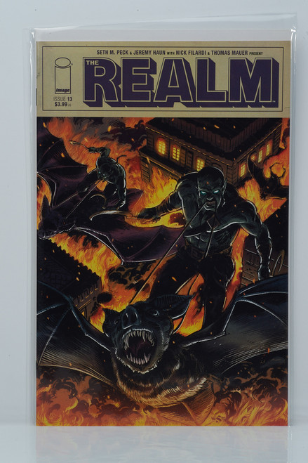 The Realm #13