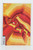 Flash #68