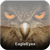eagle-eyes.png eagle-eyes.png