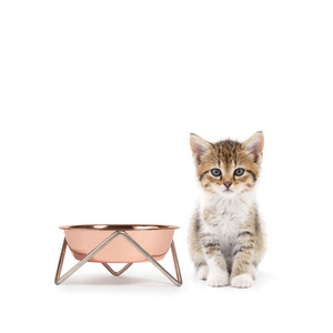 Bendo - Meow Single Pet Bowl - Copper on Chrome Stand