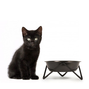 Bendo - Meow Single Pet Bowl - Black on Black Stand