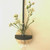 Stix & Flora - Hoopla Vase with black trim - Single 100ml Round Flask - small (flowers not included)