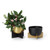 Marble Basics - Lune Gold Planter (Gold Bowl and Black Base - Flowers not included)
Photographed with the Nuit Black Planter