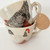 Robert Gordon  X Emogen Clark Chicken Mugs - BABY and MABEL