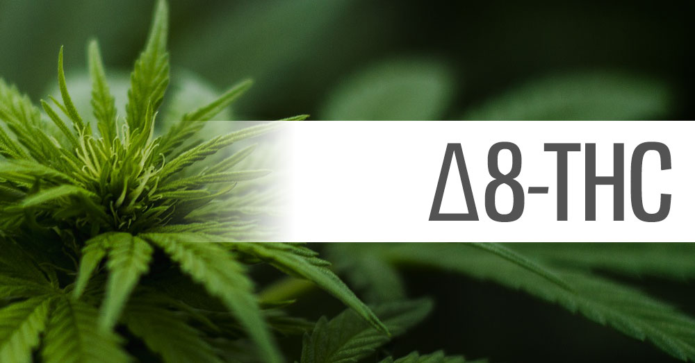 What is Delta-8 THC and how is it different from Delta-9?