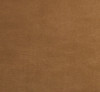 Photo - Close Up