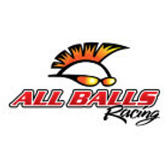 All Balls Racing