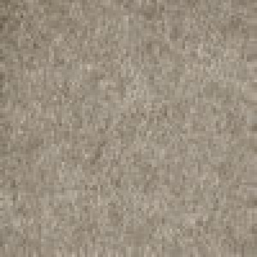 Photo - Close Up