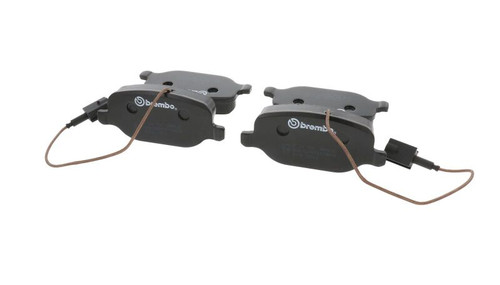 Photo - Close Up