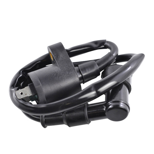 RM Stator External Ignition Coil W/Spark Plug Cap - RM06001