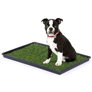 5 Star Pets medium Tinkle Turf portable dog potty with realistic synthetic grass and black low-profile tray.