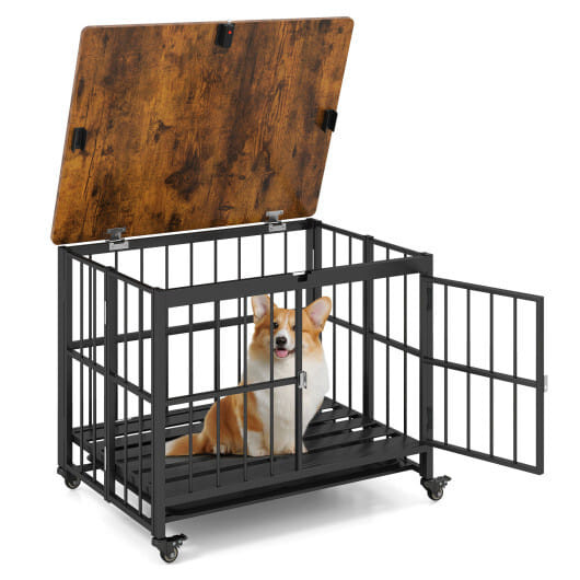 5 Star Pets: Foldable Dog Crate