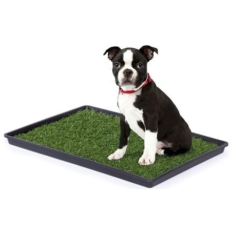 5 Star Pets medium Tinkle Turf portable dog potty with realistic synthetic grass and black low-profile tray.