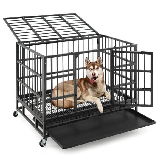 5 Star Pets 38-inch heavy-duty metal dog crate with open top door and tray.