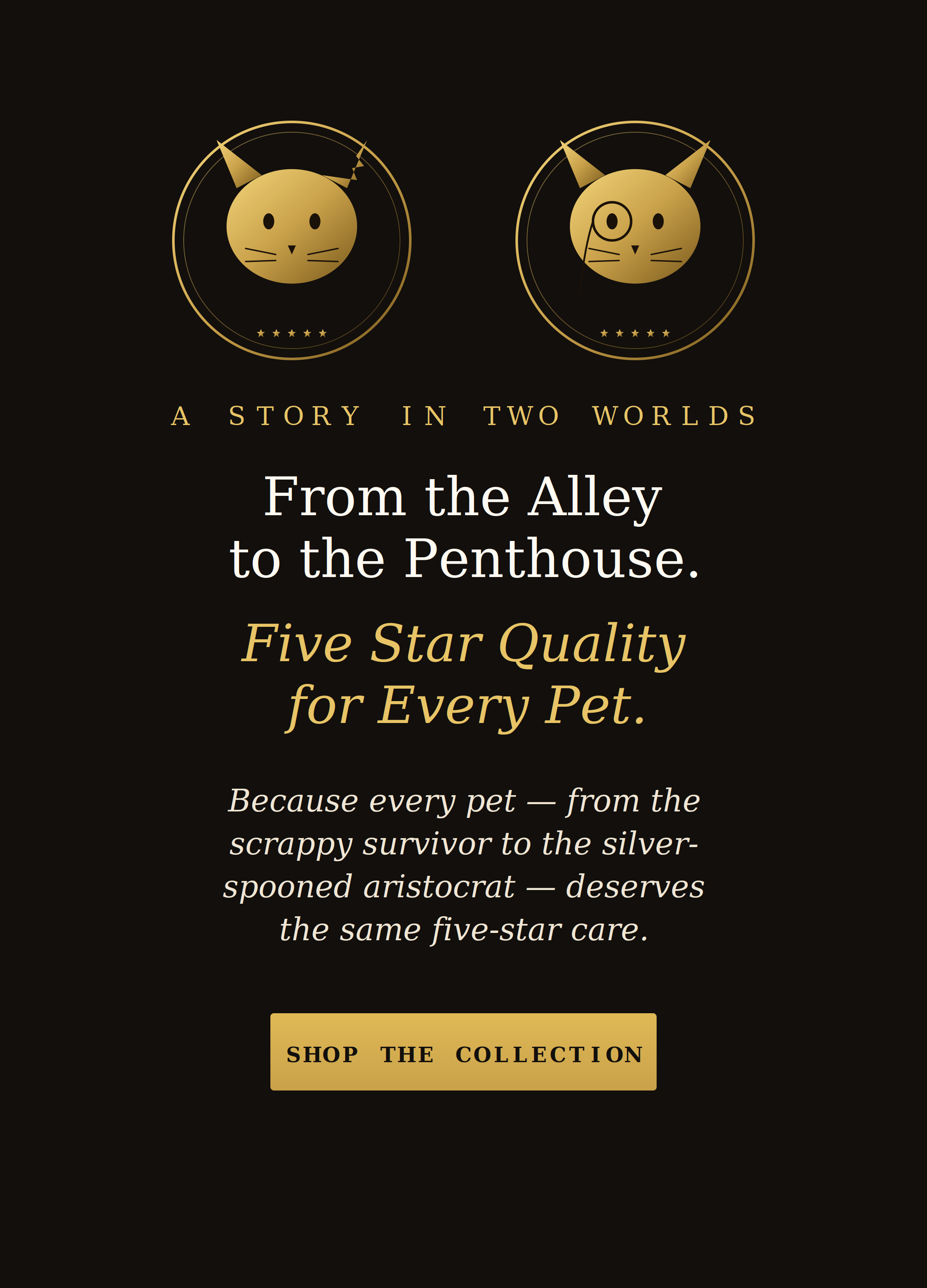 From the Alley to the Penthouse — Five Star Quality for Every Pet