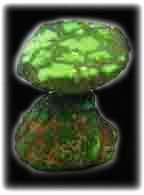 Fossilized Psuedomorph Turquoise Clam from Carico Lake Turquoise Mine - Ernie Montoya Collection