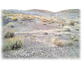 Carico Lake Turquoise Mine - Courtesy of Ernie Montoya