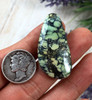27 carats Natural Tortoise Variscite  Cabochon 27 carats Natural Tortoise Variscite  Cabochon