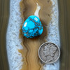 Bisbee spiderweb turquoise stone