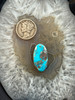 Bisbee Turquoise cab – 696