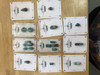 Roxy Lula  Bisbee Collection