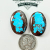 Webby Window Bisbee Cab Pair