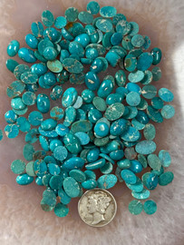 Fox Turquoise 6mm Cabochons Fox Turquoise 6mm Cabochons