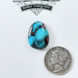 Fabulous Royal Blue Bisbee Cab