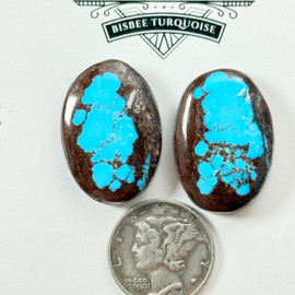 Webby Window Bisbee Cab Pair