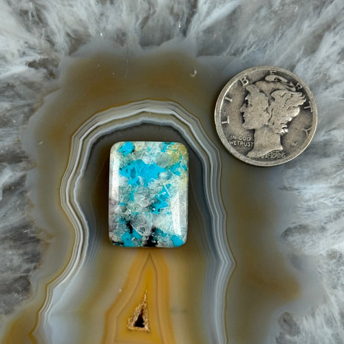 Crystal Bisbee Turquoise Cabochon-526