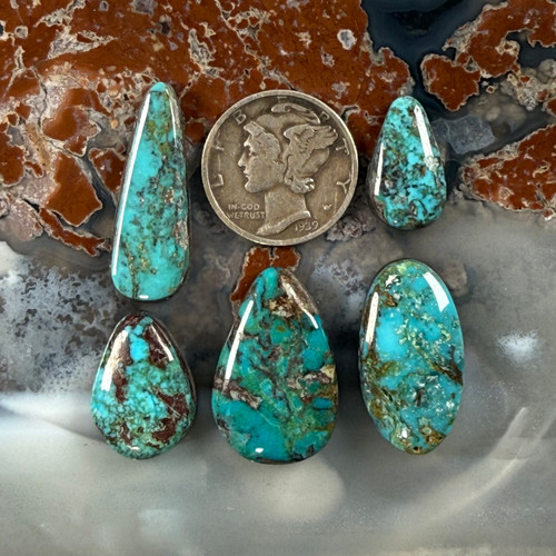 PolyChrome Bisbee Turquoise Cab  Collection - 163