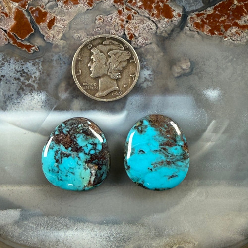 Smoky Bisbee turquoise cab pear - 204
