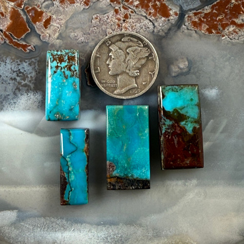 Bisbee  Turquoise Cab Lot-207