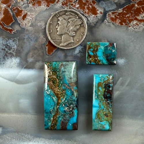 Bisbee polychrome Turquoise cab collection-210