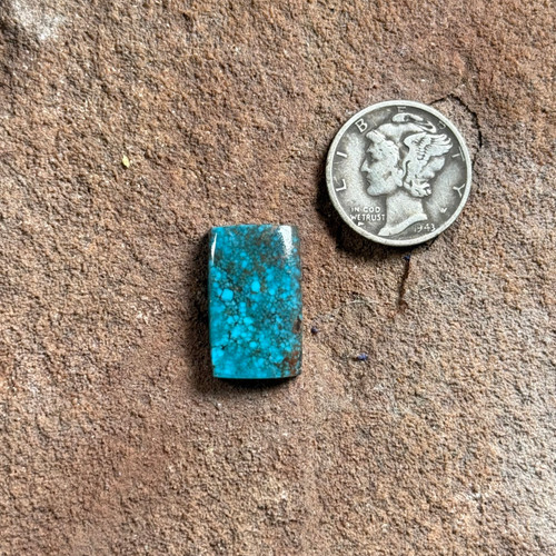 Smokey Spiderweb Bisbee Cab-626