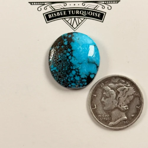 Smokey Webbed Bisbee Cab 
