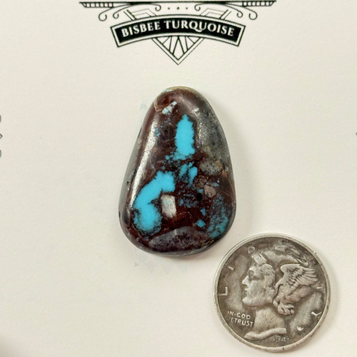 Bisbee Turquoise and chocolate Brown cab