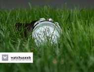 Hands-on Review: Mike Stuffler of Watchuseek about The Formex Element Automatic Chronograph 