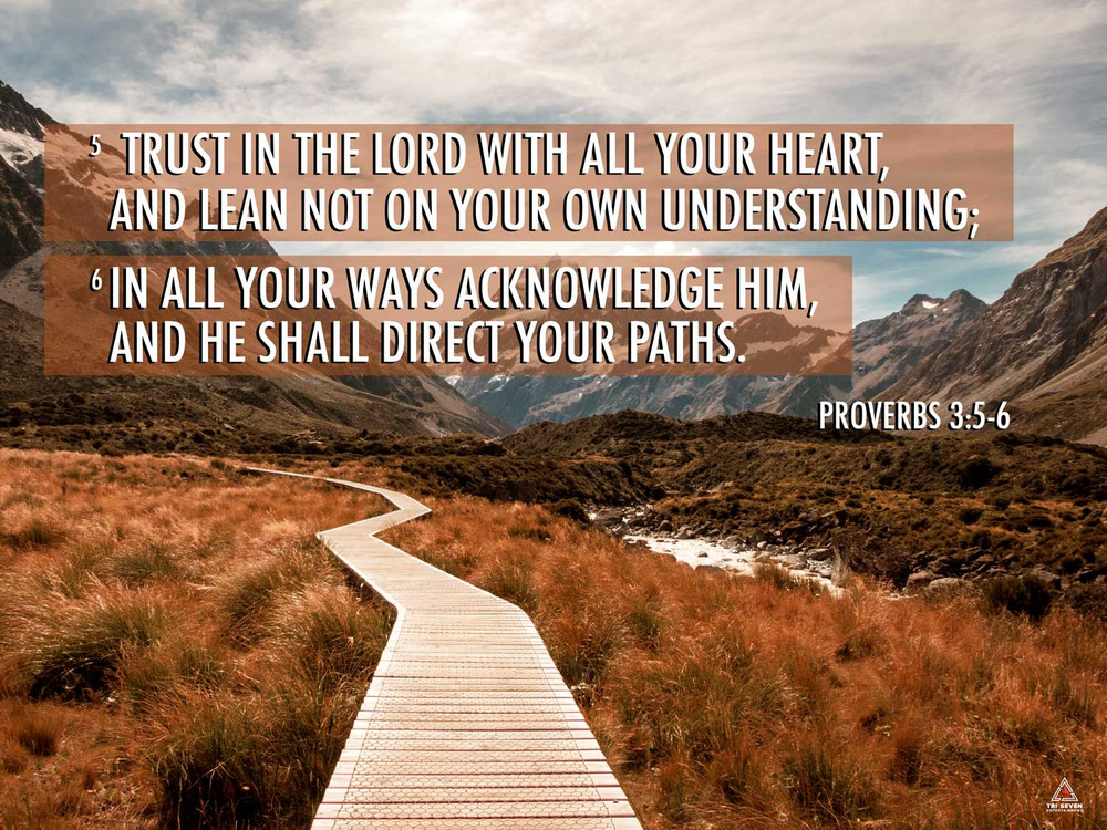 Proverbs 3:5-6 Poster Trust in the Lord Bible Verse Quote Wall Art (24x18)