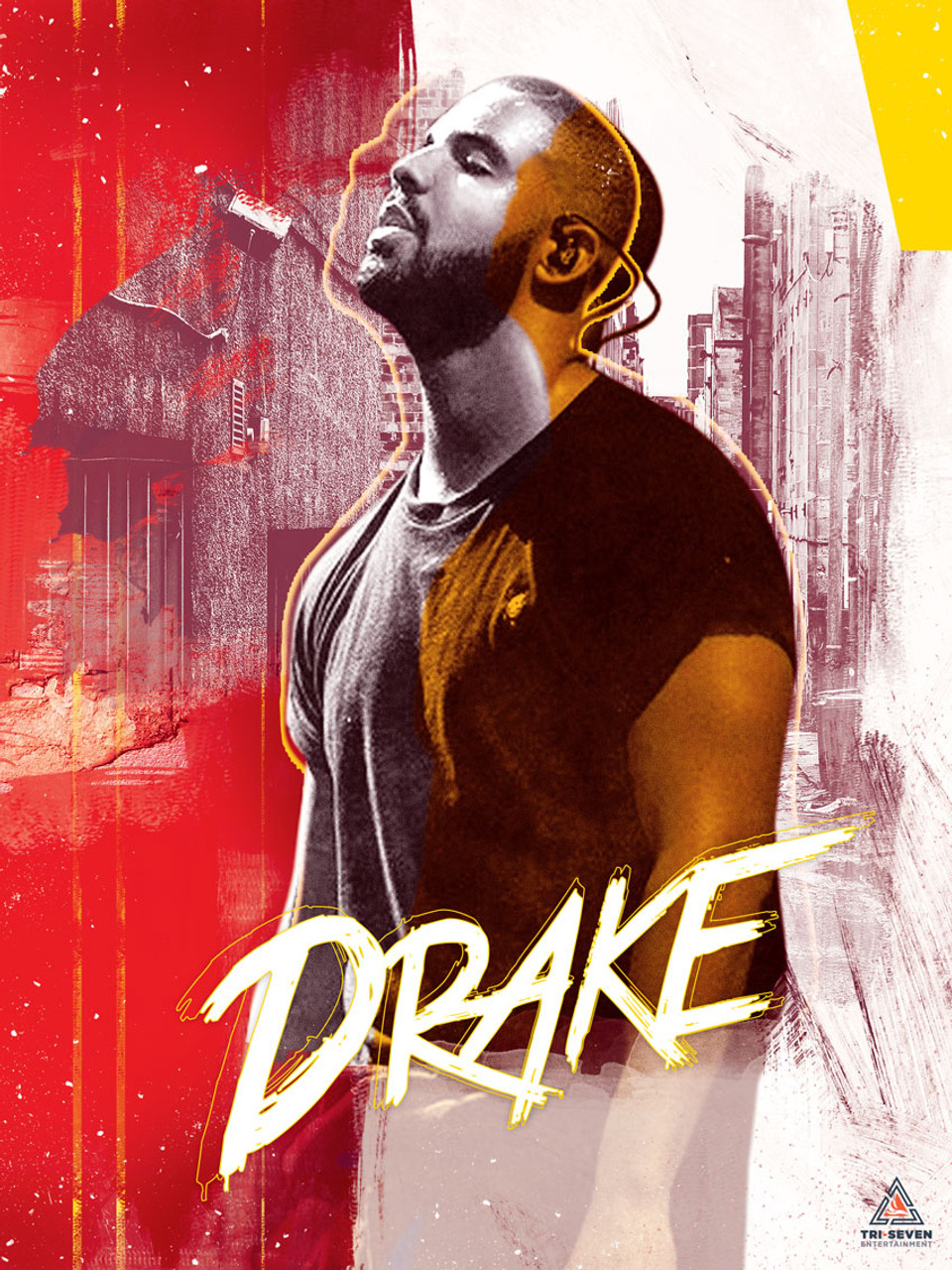 Drake Poster Wall Artwork Print (18x24)