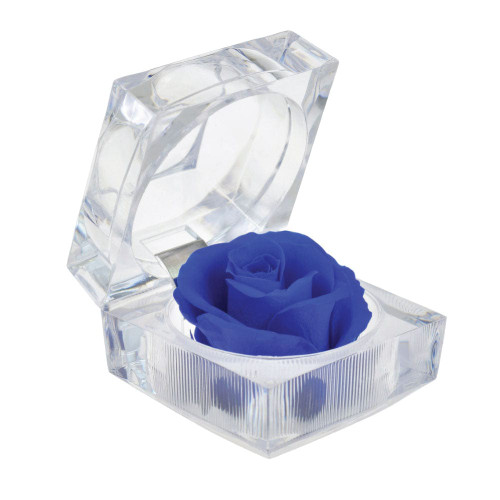Deals club 2PC Preserved Real Roses with Scent in Ring Box – Romantic Gift for Her, Anniversary or Birthday