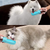 FOLDABLE PET BOTTLE 550ML W/CARBON FILTER
