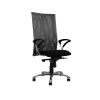 Trinidad Mesh High-back Chair