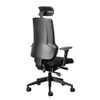 Ortho-Max High-back Chair