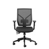  Ortho-Air High-back Chair 