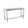 Double School Desk 1200W x 450D x 725 H Gr. 7 - 10 (Size Mark 6)