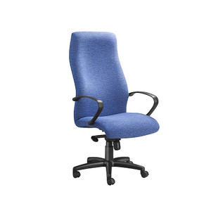  RP6IKG Rhona Posture High-back Chair 