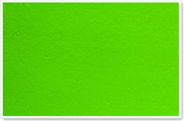 Info Board Plastic Frame - 900600mm - Lime Green