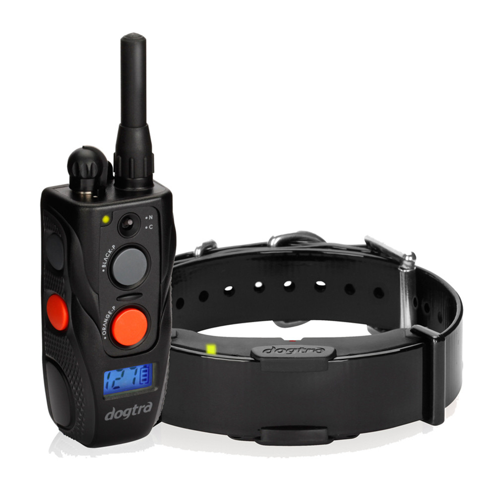 Obedience Training Dog Collars